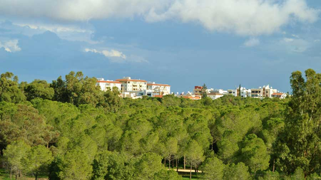 c9551812-bdba-4b90-b247-cadecd4935f7.width-750