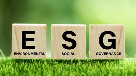 MixCollage-13-Mar-2024-12-29-PM-6544