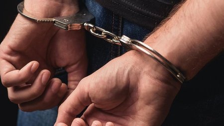 cats_XzWhjLC.width-750