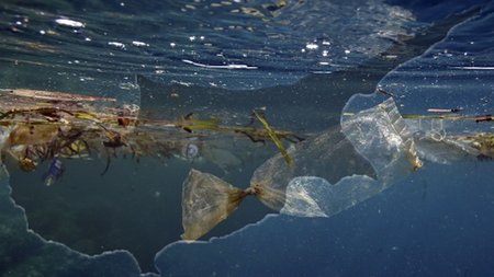 ΘΑΛΑΣΣΙΑ ΡΥΠΑΝΣΗ