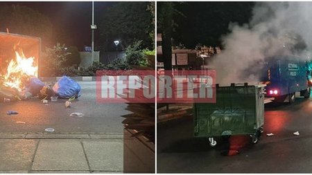 cats_IiJyfXv.width-750