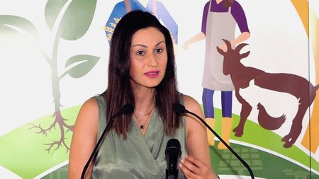 DOC.20240530.6755166.ypgeorgias