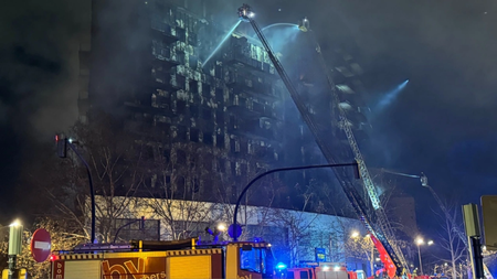 MixCollage-23-Feb-2024-03-03-AM-9341 (1)