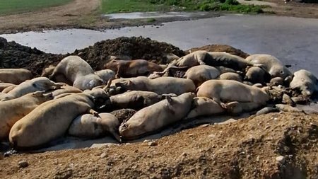 475088419_1646075729314151_132860806841819959_n