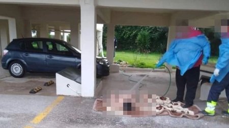 kentriki_HzlT41N.width-750