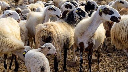 91-scaled-2560x1600.width-750