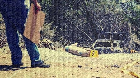 cats_xGQH1fj.width-750.width-750