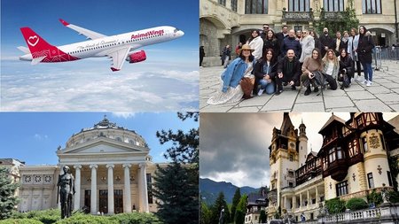 MixCollage-26-May-2025-10-50-AM-8806