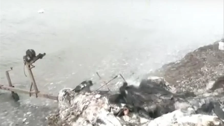 98229db4-2fd4-4798-8a9f-45964da120f1