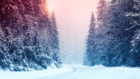 cache_980x637_Crop_medium_406663_193721_22_06_14_122025