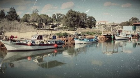 cats_fleguh1.width-750