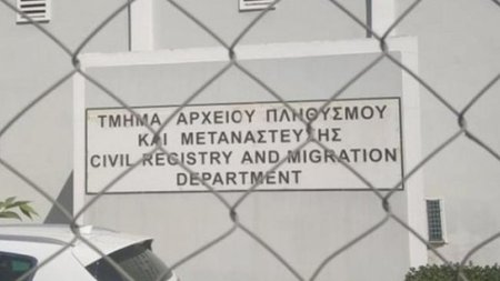 cats_H3qUeCo.width-750