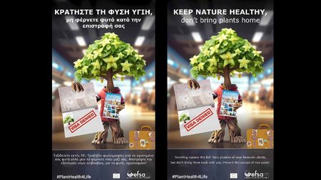 Χωρίς τίτλο