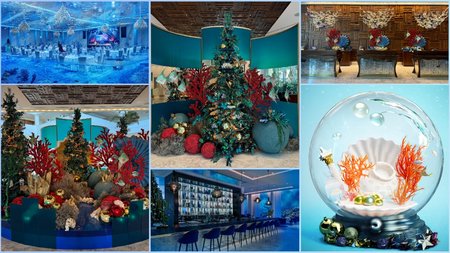 MixCollage-26-Nov-2024-09-10-AM-5162