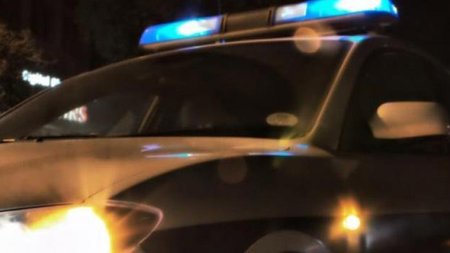 cache_846x3000_Analog_medium_866638_90598_3092021