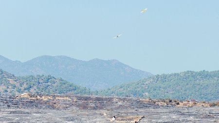 DOC.20230808.5354793.limassolfire