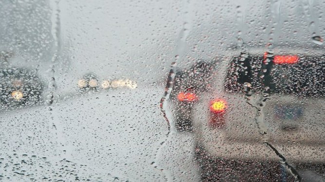 cats_Ku1tNdZ.width-750