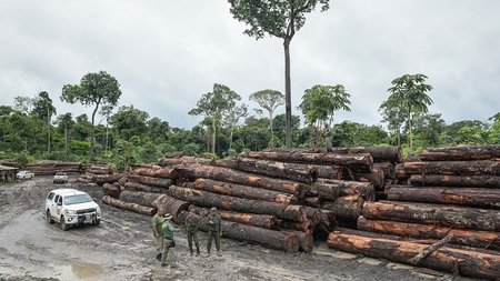 1280px-Terra_Indígena_Pirititi_Roraima_42604305962-1200x800