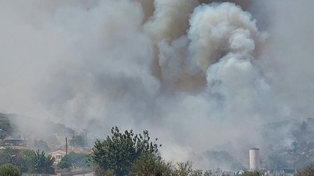 441354101_1917563038699637_7373540543280545125.width-800