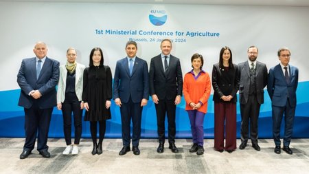 MixCollage-21-Feb-2024-12-44-PM-4923