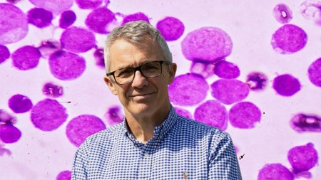 ΕΡΕΥΝΑ-ΛΕΥΧΑΙΜΙΑ