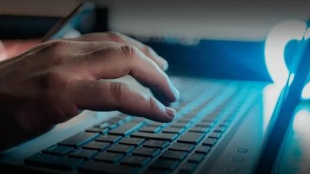 cats_VicyRwK.width-750