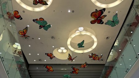 Spring Decoration (1000 x 560 px)