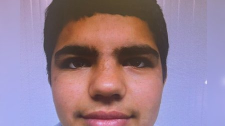 IMG-53baed9370e26b0d9e63efcc69b6ef3e-V-1037x780