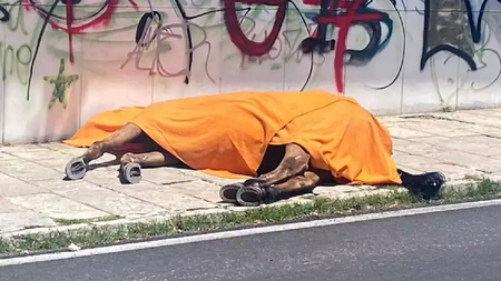 72500053-bfa9-44fd-8db0-ac1f619e1b93