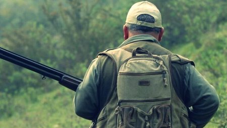 Kinigi123.2e16d0ba.fill-1200x630