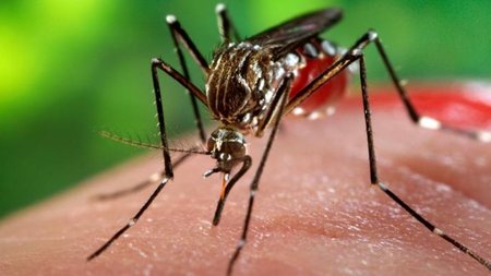 image_2023-06-27_113902933