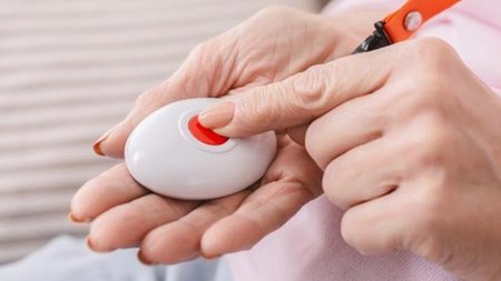 cats_w2N6WAG.width-750