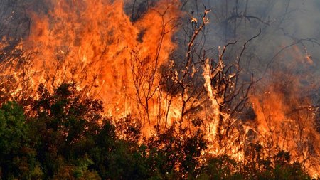 cache_1500x3000_Analog_medium_965972_233783_2562020