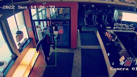 camio-unauthorized-access-detection-nrg-lab