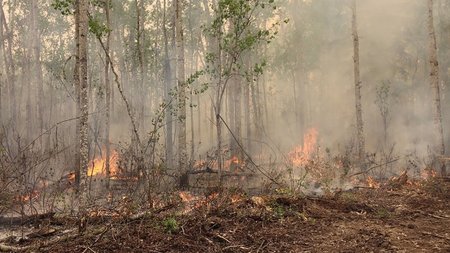 86e9038d0c0142b885c0ebf93347a69c