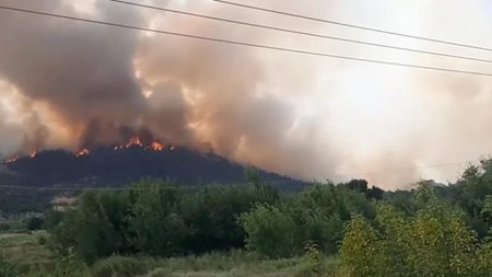 fotia-evros-dadia-evros24-22-07-2022-1024x543-1024x543