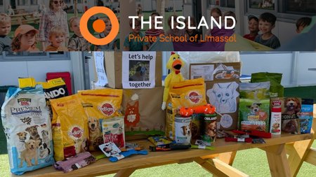 Collage Maker-20-Jun-2023-11-09-AM-2503