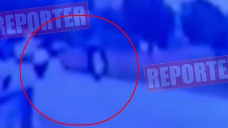 436877961_779308910829698_340667698342097127_n.width-750