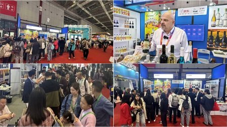 MixCollage-26-Nov-2024-12-28-PM-8208