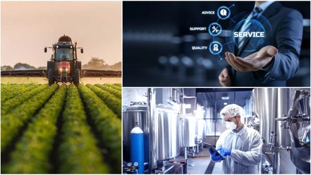 ΤΟΜΕΙΣ ΤΗΣ ΟΙΚΟΝΟΜΙΑΣ