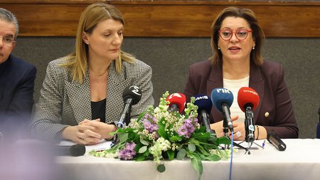 Theodosiou_Michaelidou