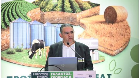 MixCollage-18-Jun-2024-11-05-AM-8484