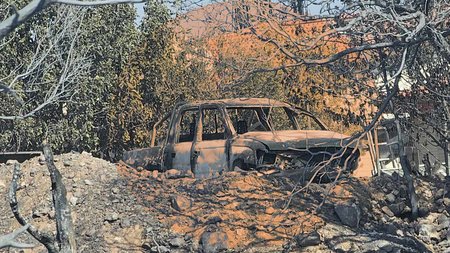 Ορεινή λεμεσός πυρκαγιά