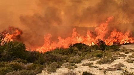 257014a9485b7816c71e46e1945358a9