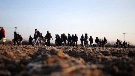 cache_1500x3000_Analog_medium_1330287_97008_10112021