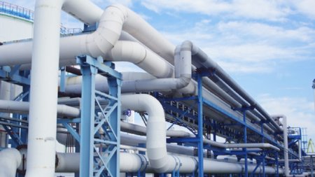 MixCollage-30-May-2025-02-39-PM-8468