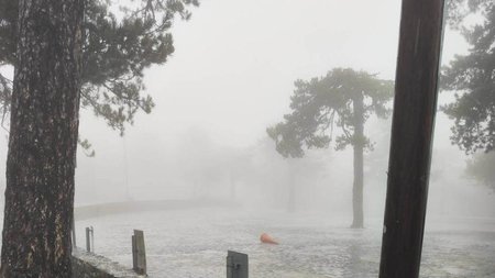 325382637_876230660243549_7857330084434284613_n