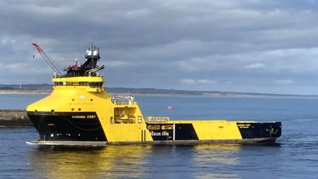 MixCollage-10-Apr-2024-09-55-AM-7091