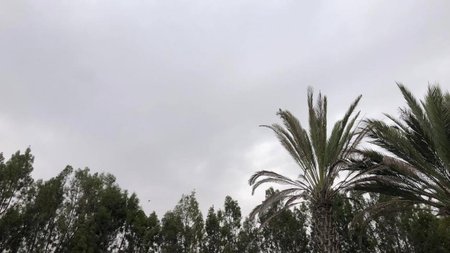 279475904_6844864898881649_6204028955443330592_n