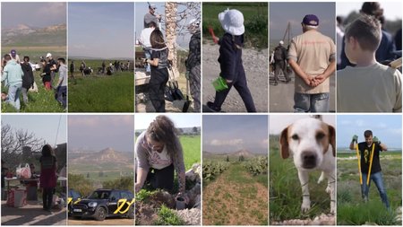 MixCollage-17-Apr-2024-11-36-AM-5179